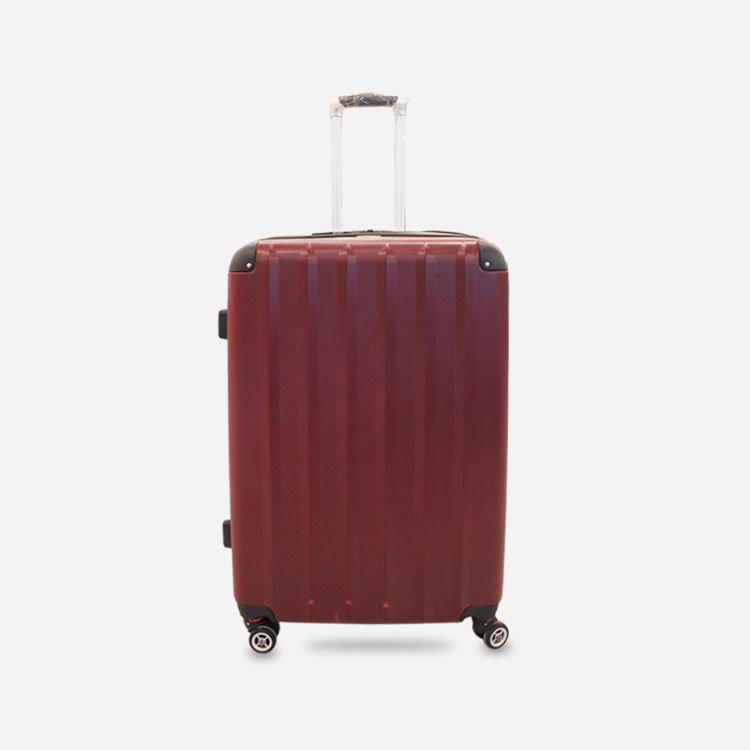 Swiss pro suitcase online